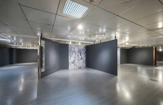 Erbusco (BS): Grande negozio in centro commerciale