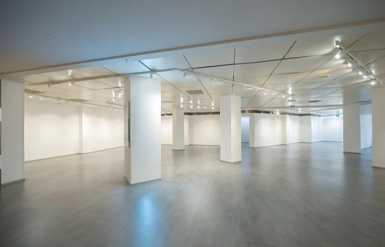 Erbusco (BS): Grande negozio in centro commerciale