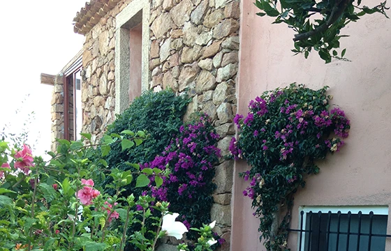 Porto Cervo (SS): Villa in Costa Smeralda