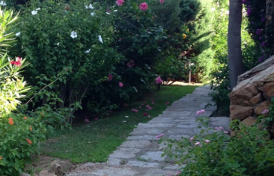 Porto Cervo (SS): Villa in Costa Smeralda